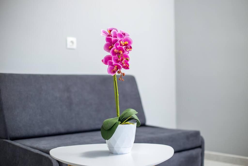 Pelagias Apartments Rhodes City Екстериор снимка